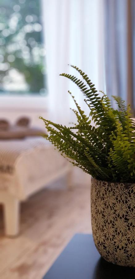 Cosy&white In Apartment Daugavpils